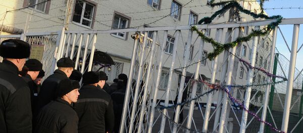 Over 20,000 Released Under Amnesty in Honor of Russian Constitution Anniversary Over 20,000 Released Under Amnesty in Honor of Russian Constitution Anniversary - Sputnik International