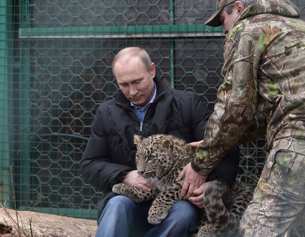 Putin Hugs Leopard Cub in Sochi - Sputnik International
