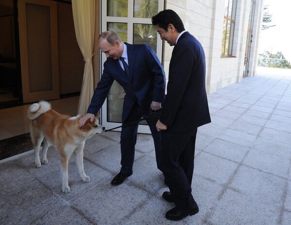 Vladimir Putin brought along his pet dog Yume (Dream in Japanese) - Sputnik International