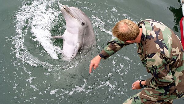 The Russian Defense Ministry has assumed full administrative control over the Crimean State Oceanarium, which carries out a comprehensive combat dolphin training program. - Sputnik International