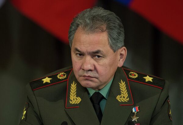 Russian Defense Minister Sergei Shoigu - Sputnik International