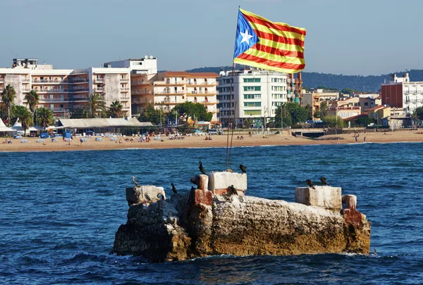 EU Would Accept Independent Catalonia – Report - Sputnik International