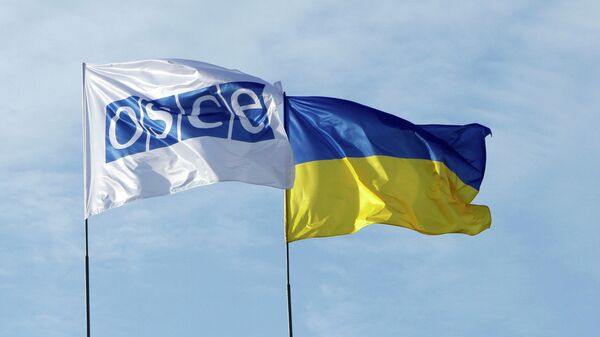 Russia Receives OSCE Roadmap on Ukraine Crisis - Sputnik International