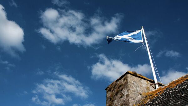 Immigration Driving African-Scots Towards Scottish Independence Yes Vote - Sputnik International