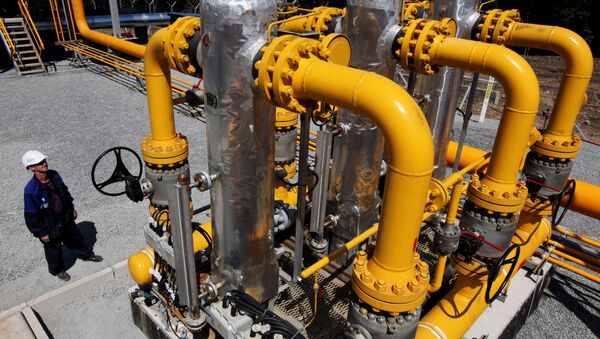 Russia, Turkey to Increase Capacity of Blue Stream Gas Pipeline - Sputnik International