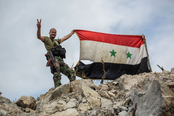 A government soldier with the Syrian flag (Archive) - Sputnik International