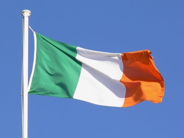 Euro Elections Predicted to Bring ‘Historic’ Change to Ireland - Sputnik International