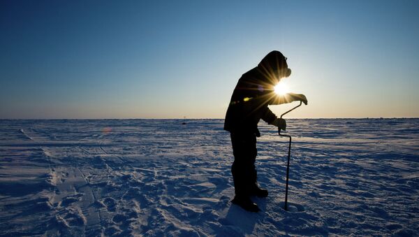 Russia Transfers $6.8 Million for Arctic Council Environmental Projects - Sputnik International