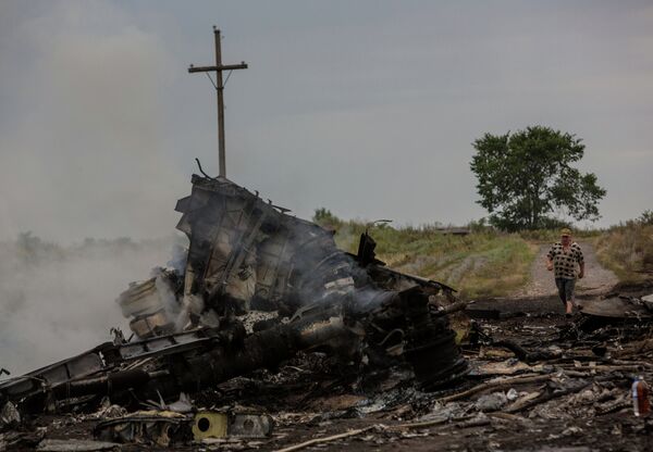 Crash site of Malaysian Boeing 777 in Ukraine Crash site of Malaysian Boeing 777 in Ukraine - Sputnik International