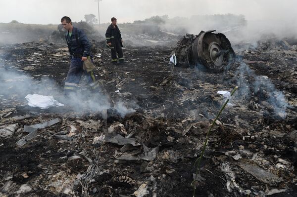 Malaysia Airlines Boeing-777 crash site - Sputnik International