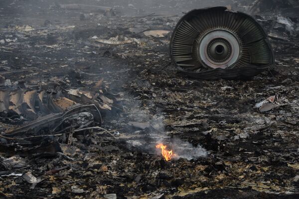 Malaysian Boeing crash  in Ukraine - Sputnik International