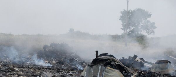 Eight families from Australia, whose relatives died in the Malaysian Airlines Boeing 777 crash in eastern Ukraine are preparing to sue Ukraine, Malaysia, Russia, and the airline, The Daily Mail reported Thursday. - Sputnik International