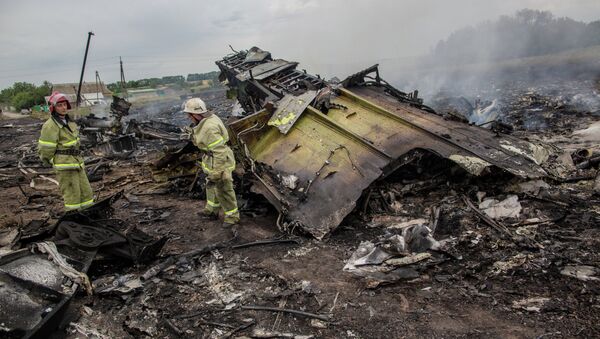 Crash Site of Malaysian Jetliner in Ukraine - Sputnik International