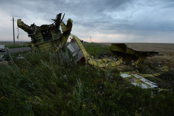 Crash of Malaysia Boeing in Ukraine - Sputnik International