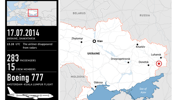 Malaysia Airlines MH17 crash near Donetsk - Sputnik International