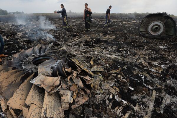 Malaysia Airlines Boeing 777 crash site - Sputnik International