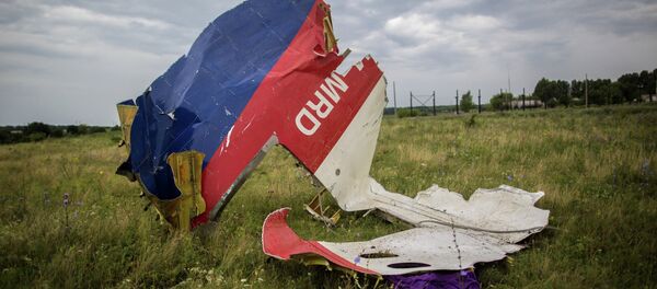 MH17 crash - Sputnik International