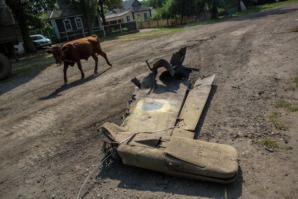 Military aircraft shot down in Donetsk - Sputnik International