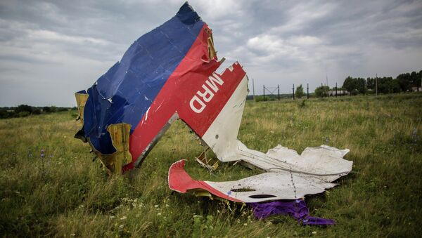 Crash site of Malaysian Boeing 777 in southeastern Ukraine. - Sputnik International