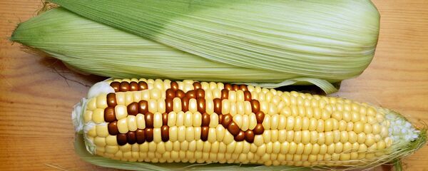 Genetically Modified Foods Genetically Modified Foods - Sputnik International