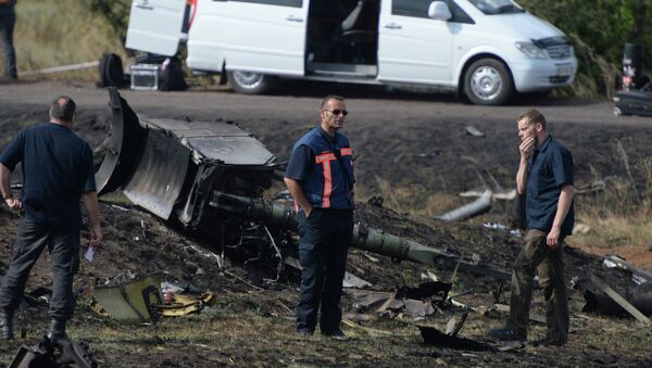 OCSE Investigative Team and Experts at the Malaysian Airlines Boeing 777 Crash Site - Sputnik International