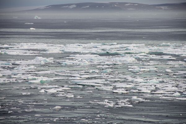 Broken Arctic sea ice - Sputnik International