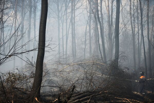 Wildfires Rage in Russia's Tver Region - Sputnik International