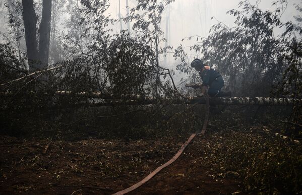 Wildfires Rage in Russia's Tver Region - Sputnik International