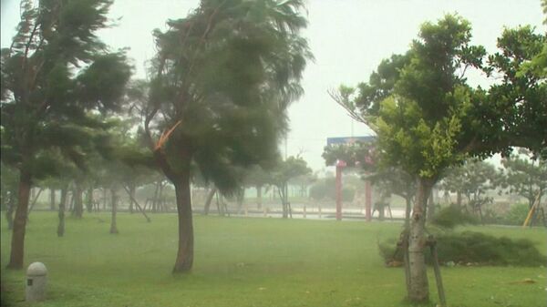 Typhoon Neoguri in Japan - Sputnik International
