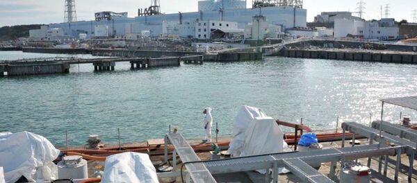 Japan's 48 commercial nuclear reactors were shut down following the Fukushima disaster - Sputnik International