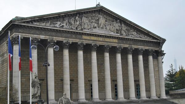 The National Assembly of France - Sputnik International