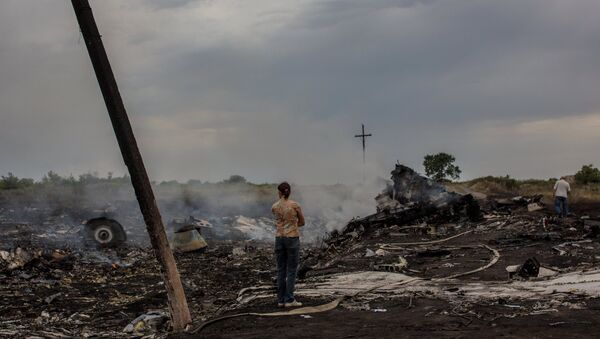 The crash site of the Malaysian Boeing 777 outside Shakhtyorsk, Donetsk Region - Sputnik International