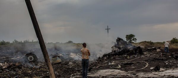 The crash site of the Malaysian Boeing 777 outside Shakhtyorsk, Donetsk Region The crash site of the Malaysian Boeing 777 outside Shakhtyorsk, Donetsk Region - Sputnik International