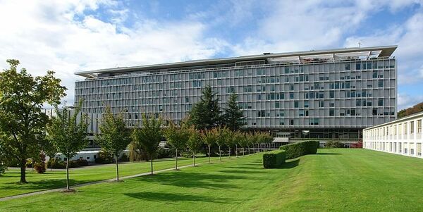 WHO headquarters in Geneva - Sputnik International