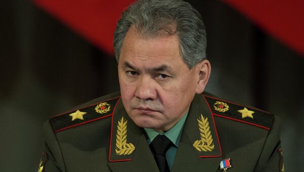 Russia's Defense Minister Sergei Shoigu - Sputnik International