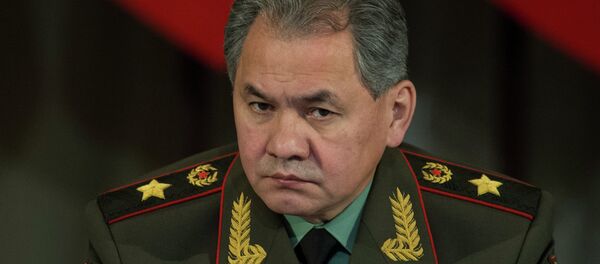 Russia's Defense Minister Sergei Shoigu - Sputnik International