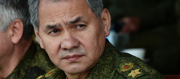 Russia's Defense Minister Sergei Shoigu - Sputnik International