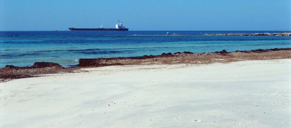 UN expert urges Mediterranean states to boost migrant rescues at sea UN expert urges Mediterranean states to boost migrant rescues at sea - Sputnik International