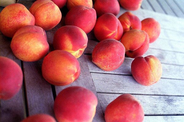 The import of peaches from Turkey to Russia has increased 72 times. - Sputnik International