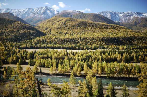 Altai: Autumn in the Golden Mountains - Sputnik International