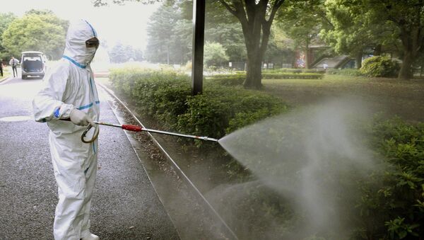 A health worker sprays for mosquitoes. - Sputnik International