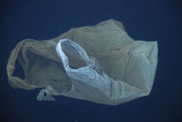 California bans single-use plastic bags statewide - Sputnik International