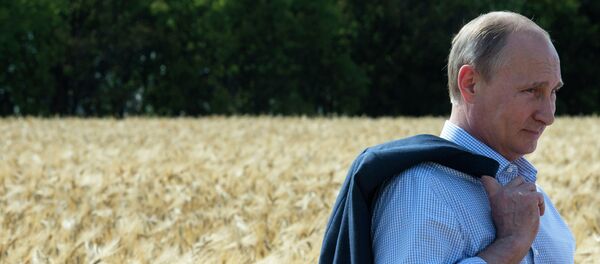 Russian president Vladimir Putin believes that the meaning of life is love Russian president Vladimir Putin believes that the meaning of life is love - Sputnik International