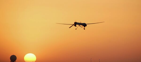 An MQ-1 Predator An MQ-1 Predator - Sputnik International